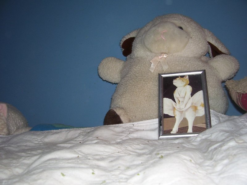 i was   little miffed and i usually am very sweet