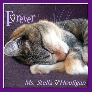 Ms+Stella+O'Houligan+Forever